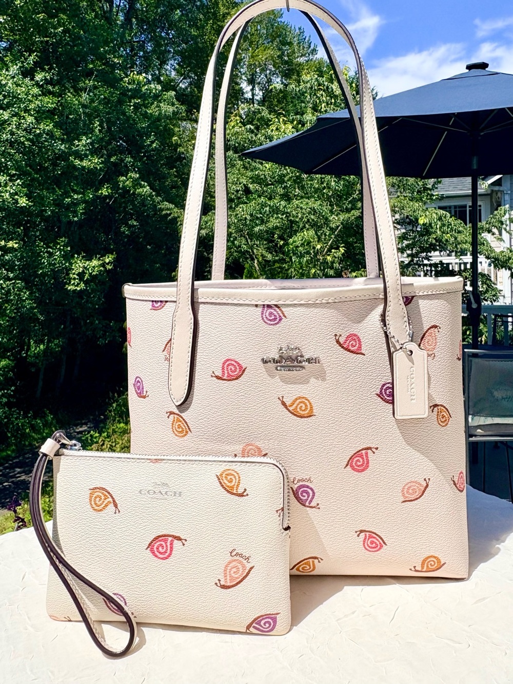 COACH City Tote With Snail Print With Matching Wallet CV269